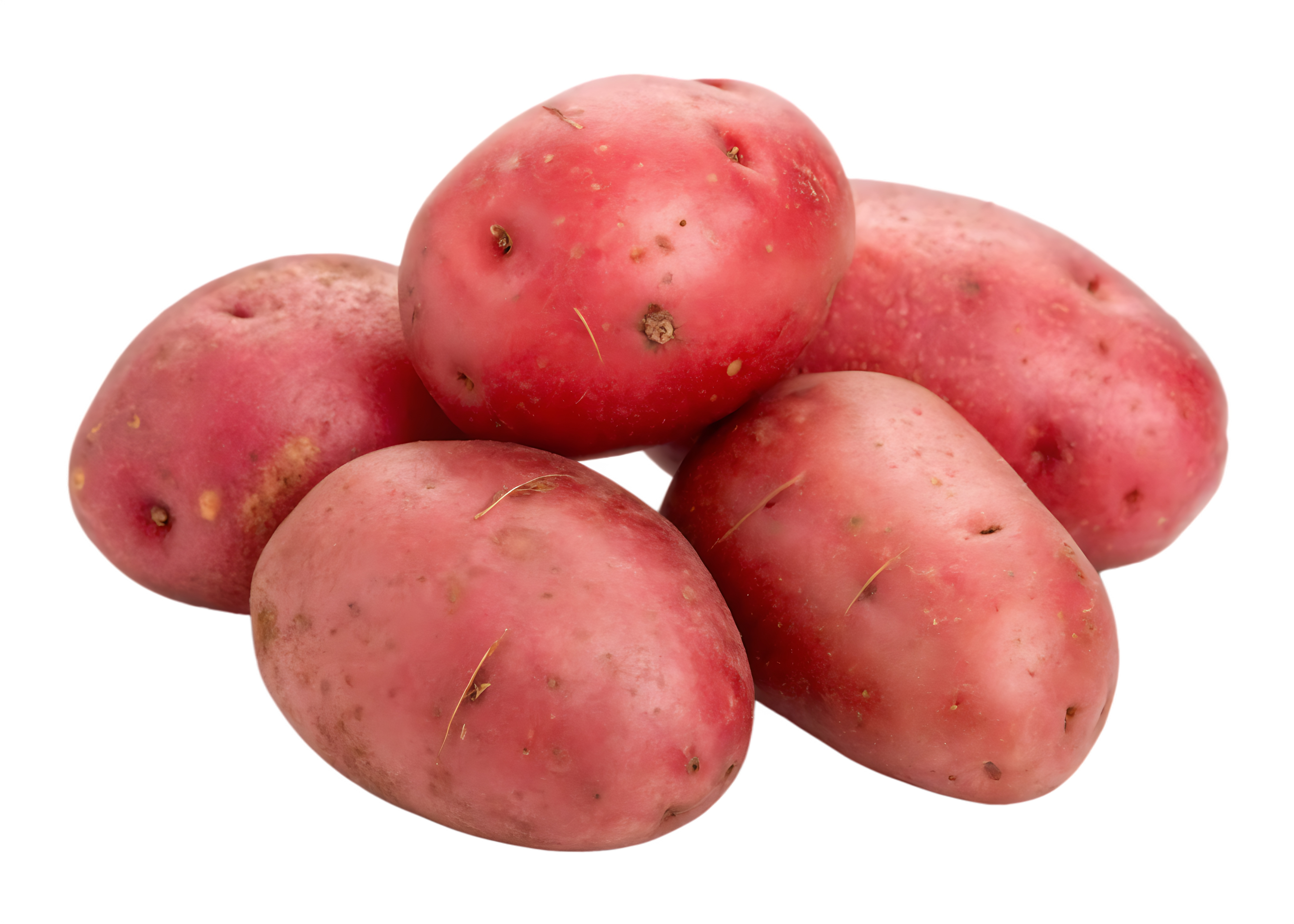 Chair ferme Rouge Cheyenne